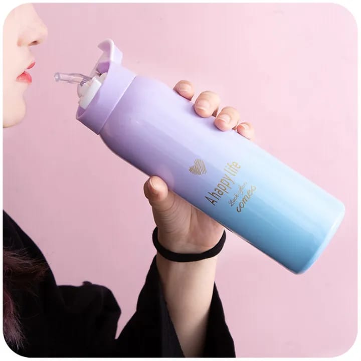 Premium Pastel Ombré Insulated Stainless Steel Water Bottle